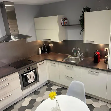 Nid Douillet Au Coeur Du Centre Historique アパート コルマール