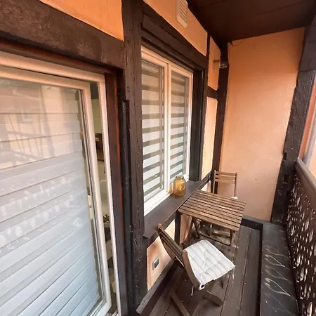 Nid Douillet Au Coeur Du Centre Historique アパート コルマール