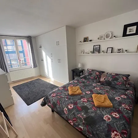 Nid Douillet Au Coeur Du Centre Historique コルマール