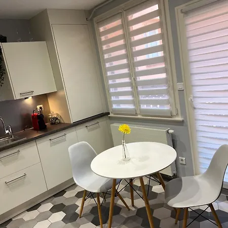 Appartement Nid Douillet Au Coeur Du Centre Historique Colmar