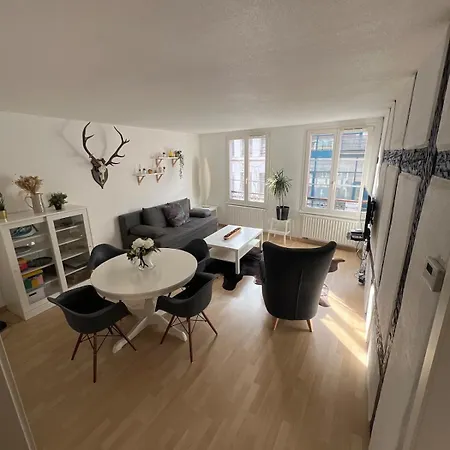 Nid Douillet Au Coeur Du Centre Historique Colmar