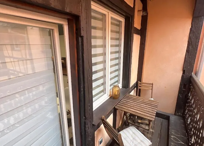 Nid Douillet Au Coeur Du Centre Historique Apartment Colmar